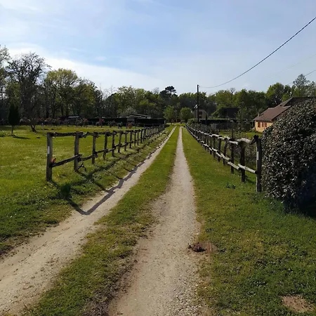 Le Lys